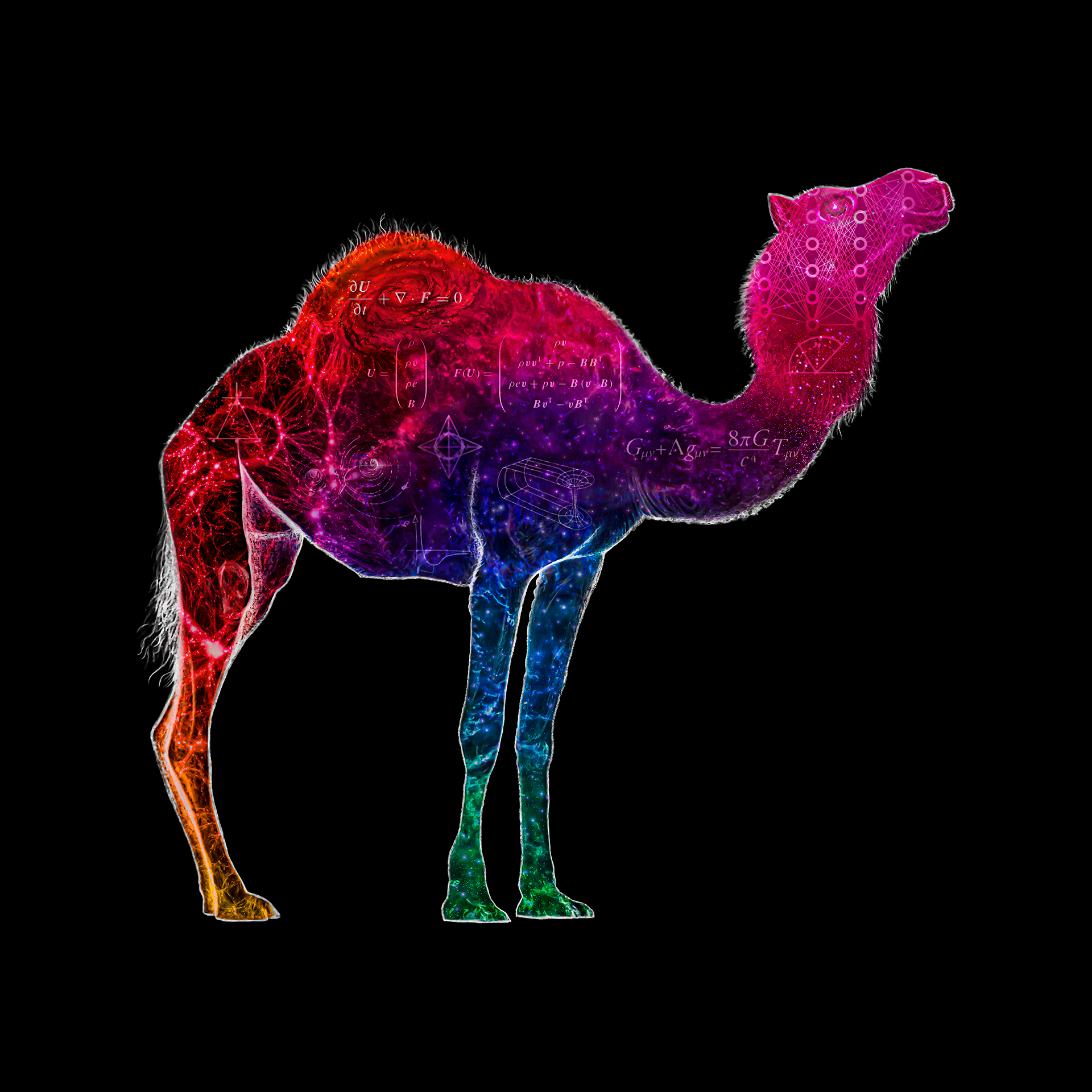 camels logo